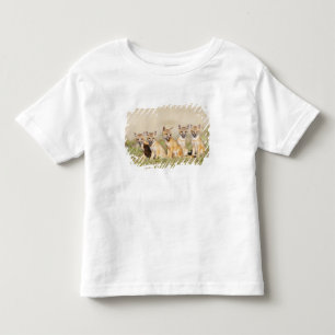 Swiftfuchs (Vulpes macrotis) Jungtier am Bau, 2 Kleinkind T-shirt
