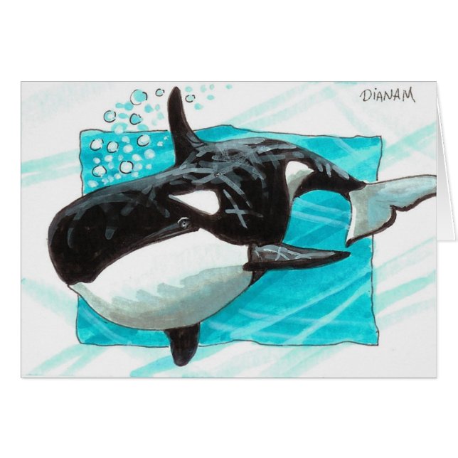 Swim Along (Vorderseite (Horizontal))