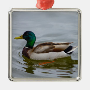 Swim Mallard Swim Silbernes Ornament