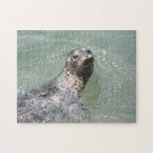 Swimming Seal  Puzzle