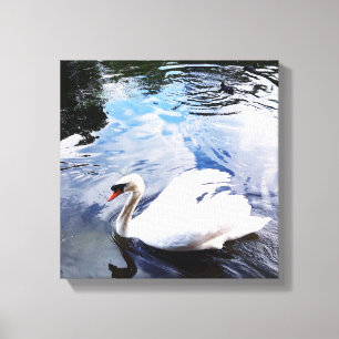 SWIMMING SWAN Stretched Canvas Print Leinwanddruck