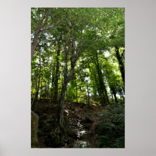 Swing and Tree Poster