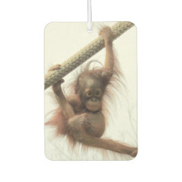 Swingbaby Orangutan Air Freshener Autolufterfrischer