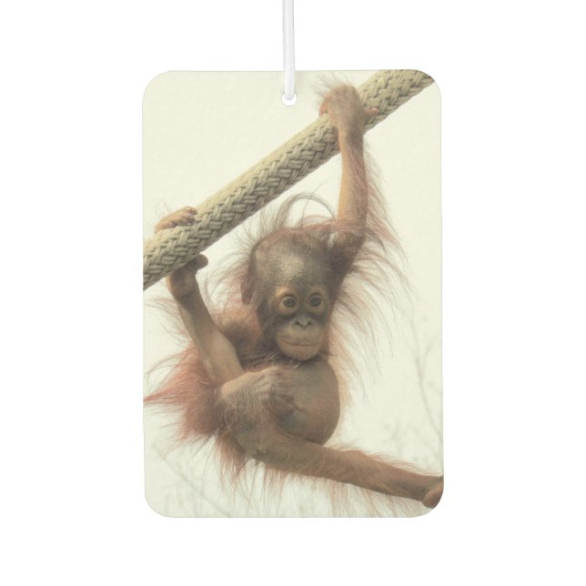 Swingbaby Orangutan Air Freshener Autolufterfrischer (Vorderseite)
