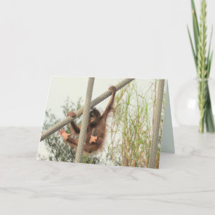 Swingbaby Orangutan Geburtstagskarte Karte
