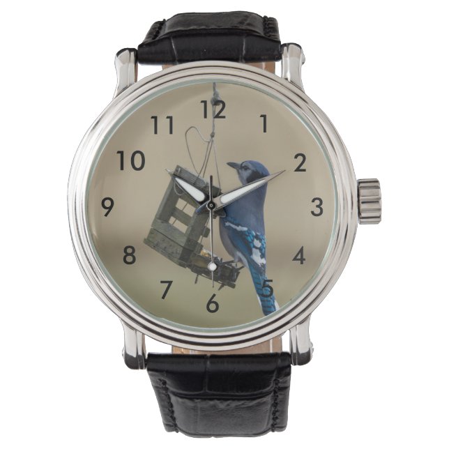 Swinging Blue Jay Armbanduhr (Vorderseite)