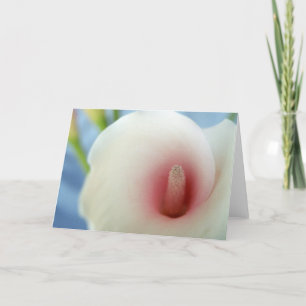 Swirl White Calla Lily Art Grußkarten Karte