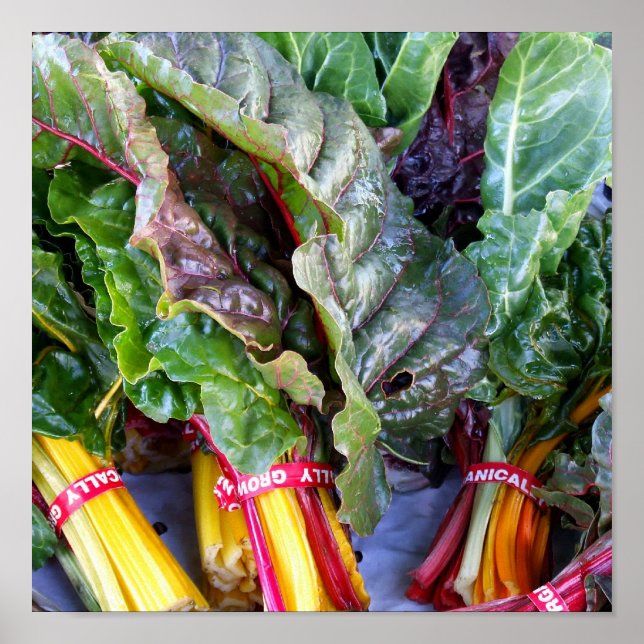 Swiss Chard Poster (Vorne)