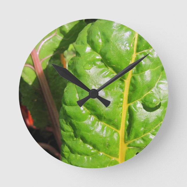 Swiss Chards Runde Wanduhr (Vorderseite)