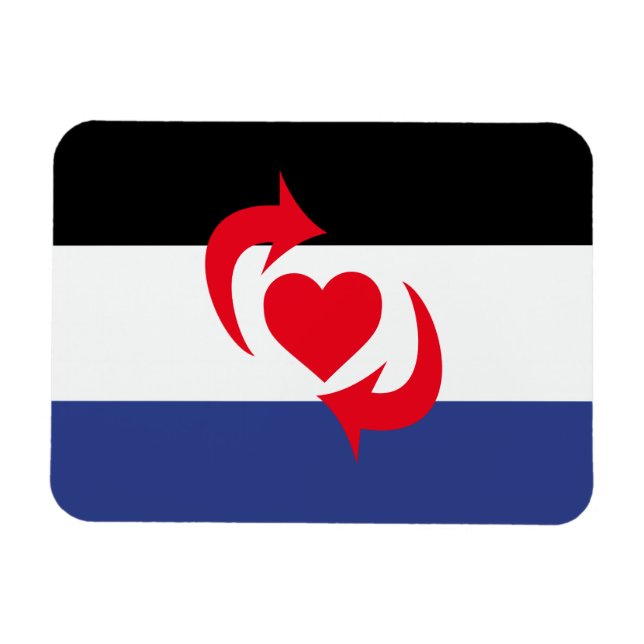 SWITCH PRIDE FLAG MAGNET (Horizontal)