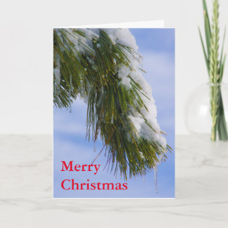 Swowy Ast mit Eiszapfen Feiertagskarte