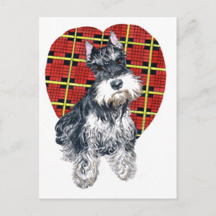 Sybil, die Schnauzer-Postkarte Postkarte