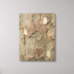 Sycamore Bark Stretched Leinwand Art
