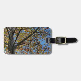 Sycamore Baum im Fall gegen einen blauen Himmel Gepäckanhänger