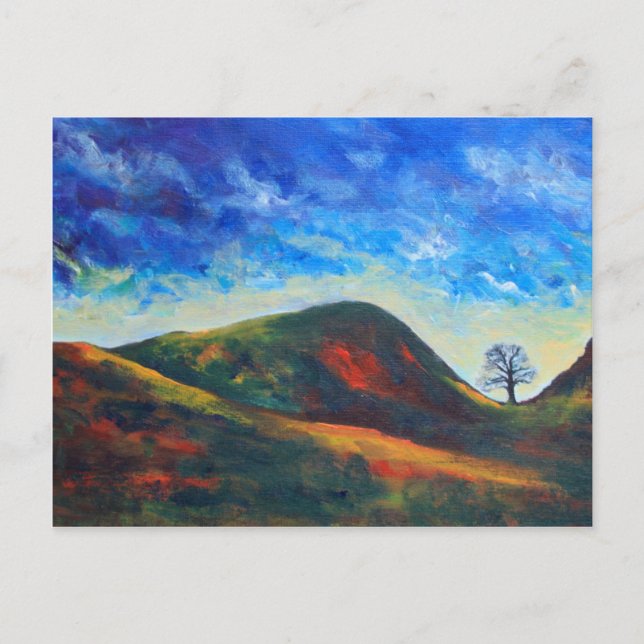 Sycamore Gap Postkarte (Vorderseite)