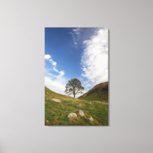 Sycamore Gap Stretched Canvas Druck Leinwanddruck