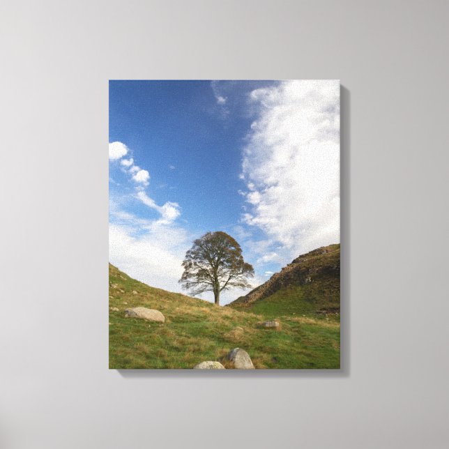 Sycamore Gap Stretched Canvas Print Leinwanddruck (Vorderseite)