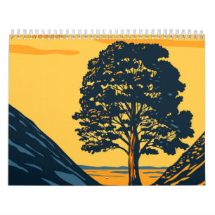 Sycamore Gap tree Kalender