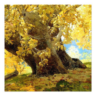 Sycamore in Autumn by Edgar Payne Fotodruck