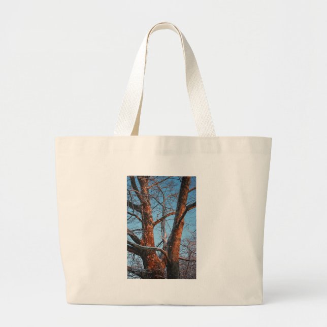 Sycamore Sunrise Jumbo Stoffbeutel (Vorne)