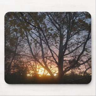 Sycamore Sunrise Mousepad