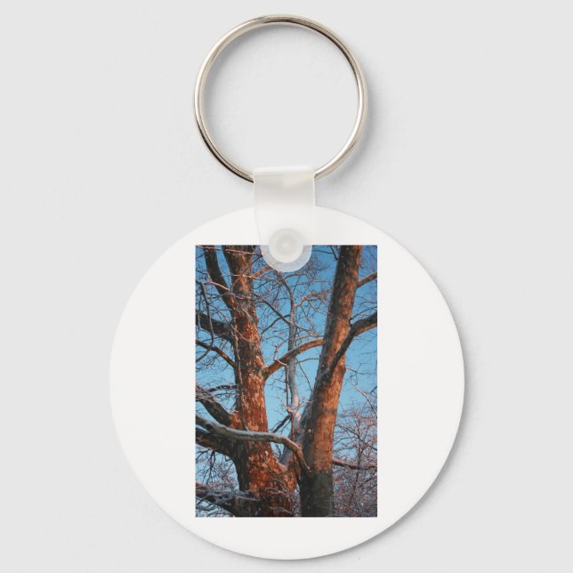 Sycamore Sunrise Schlüsselanhänger (Vorderseite)
