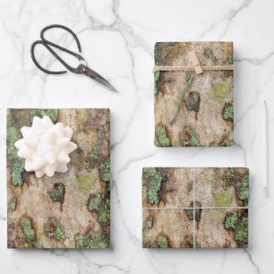 Sycamore Tree Bark Moss Lichen Geschenkpapier Set