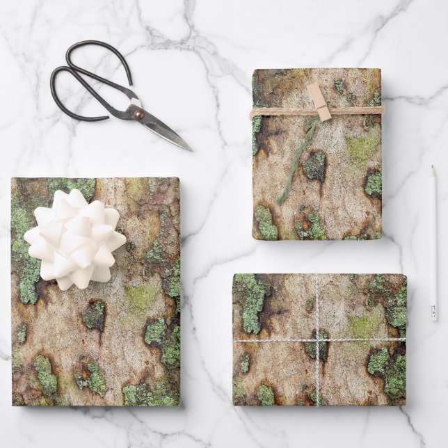 Sycamore Tree Bark Moss Lichen Geschenkpapier Set (Vorderseite)
