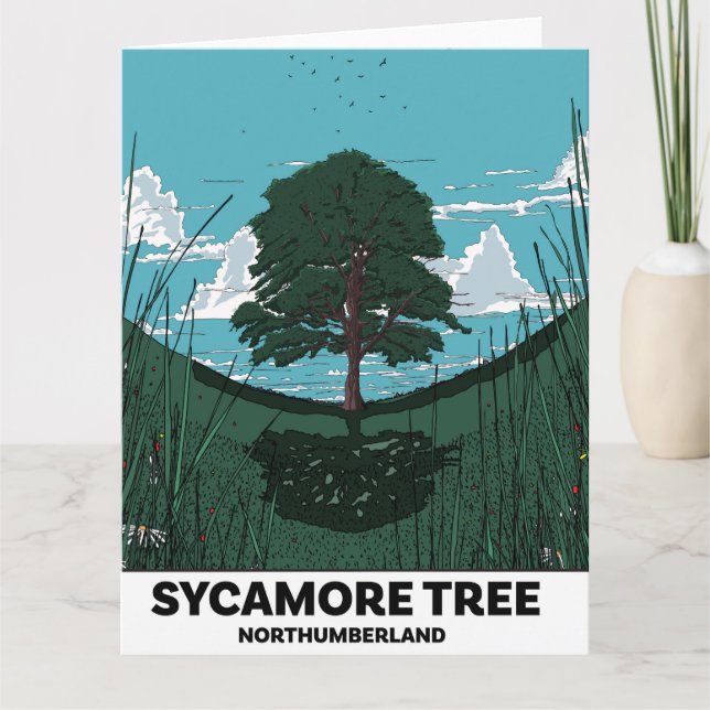 Sycamore Tree Gap Karte (Vorderseite)