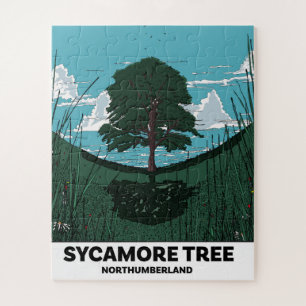 Sycamore Tree Gap Puzzle