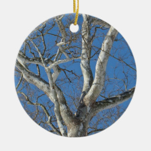 Sycamore Tree gegen Winterhimmelelemente Keramik Ornament