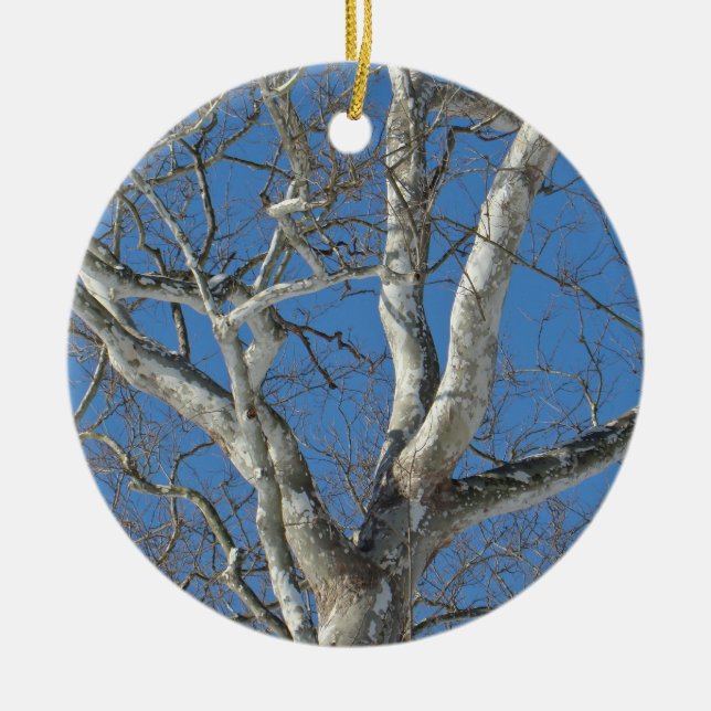 Sycamore Tree gegen Winterhimmelelemente Keramik Ornament (Vorne)