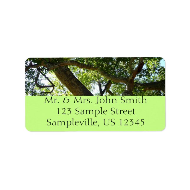 Sycamore Tree Green Nature Adressaufkleber (Vorne)