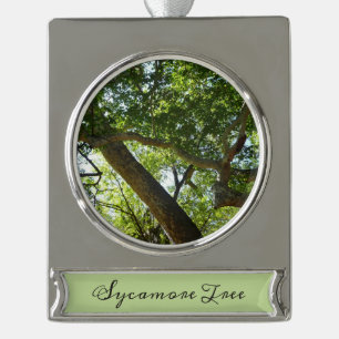 Sycamore Tree Green Nature Banner-Ornament Silber