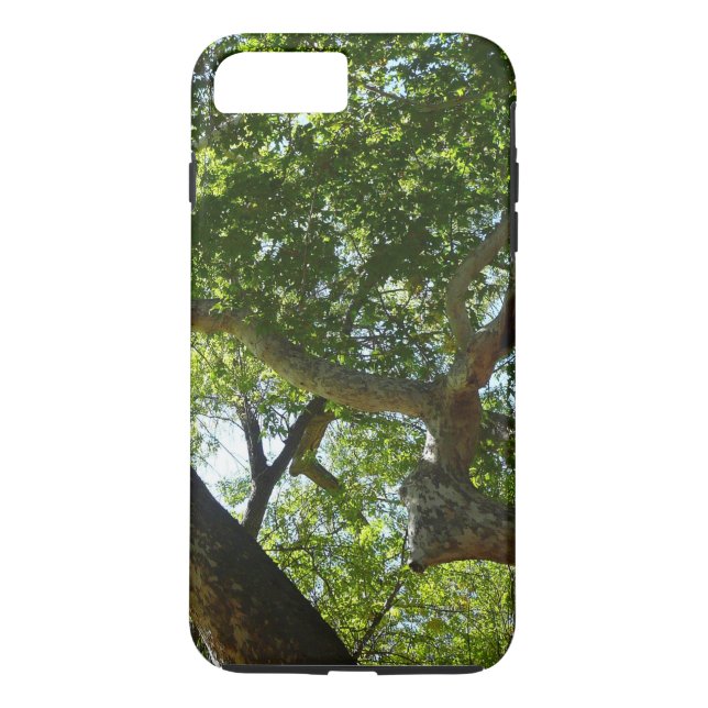 Sycamore Tree Green Nature Case-Mate iPhone Hülle (Rückseite)