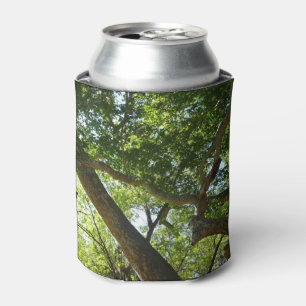 Sycamore Tree Green Nature Dosenkühler