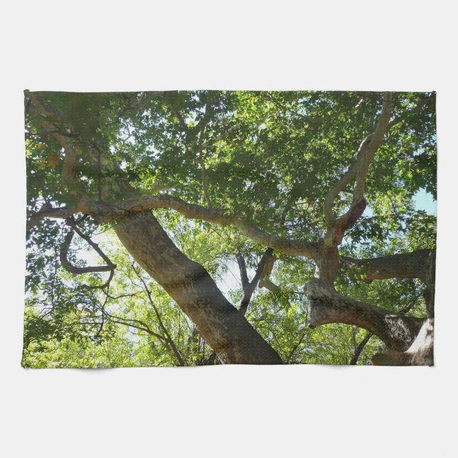 Sycamore Tree Green Nature Handtuch (Horizontal)