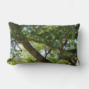 Sycamore Tree Green Nature Lendenkissen