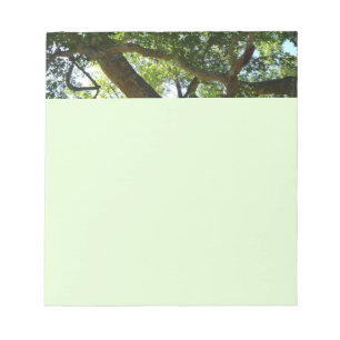 Sycamore Tree Green Nature Notizblock