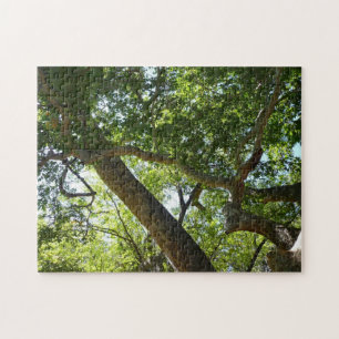 Sycamore Tree Green Nature Puzzle