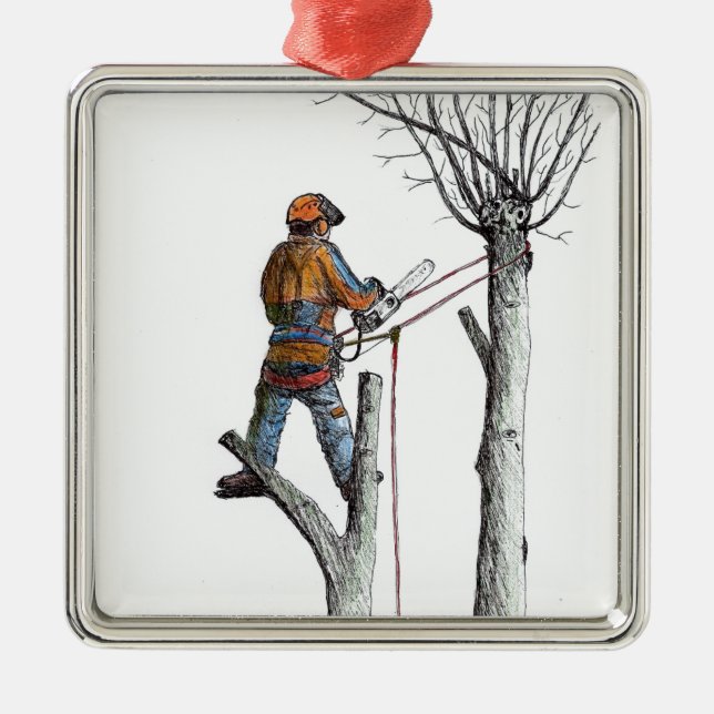 Sycamore und 020t silbernes ornament (Vorne)