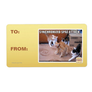Sychronisierter Spaz-Angriff