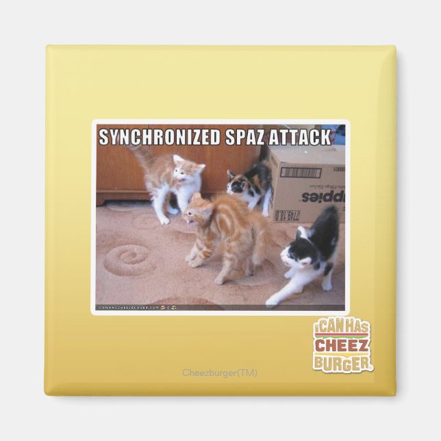 Sychronisierter Spaz-Angriff Magnet (Vorne)
