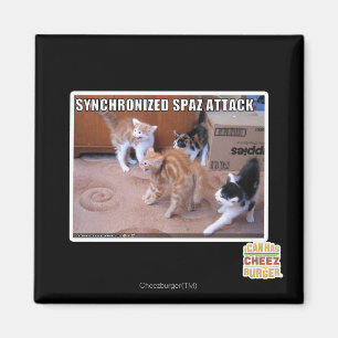 Sychronisierter Spaz-Angriff Magnet