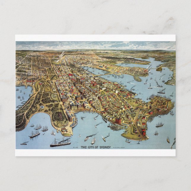 Sydney1888 Postkarte (Vorderseite)