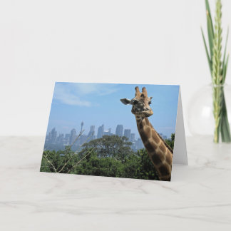 Sydney Giraffe Australia Blank Greeting Card Karte