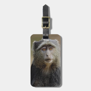 Sykes oder Blaffe, Cercopithecus mitis, Gepäckanhänger