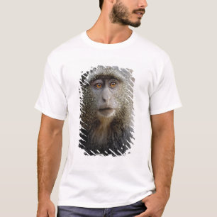 Sykes oder Diademmeerkatze, Cercopithecus mitis, T-Shirt