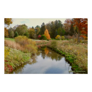 "SYLVAN SERENITY IN AUTUMN" POSTER