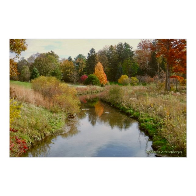 "SYLVAN SERENITY IN AUTUMN" POSTER (Vorderseite)